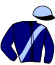 casaque portée par Poisson F. jockey du cheval de course IDOLE DE BERGAULT, information pmu ZETURF