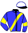 casaque portée par Delamare Mlle C. jockey du cheval de course FLORETTE DES NEUZY (FR), information pmu ZETURF