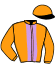 casaque portée par Devolder D. jockey du cheval de course FANGIO DE KARMEL (FR), information pmu ZETURF