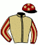 casaque portée par Baron T. jockey du cheval de course PLATALYX (FR), information pmu ZETURF
