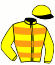 casaque portée par Guillochon J. jockey du cheval de course LIBERTADORE (FR), information pmu ZETURF