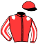 casaque portée par Chesneau A. jockey du cheval de course ANIKITOS D'OROUX (FR), information pmu ZETURF