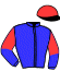 casaque portée par Bachelot T. jockey du cheval de course AUENWOLF (DE), information pmu ZETURF