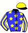 casaque portée par Raffestin J. jockey du cheval de course HIEROCLES (FR), information pmu ZETURF