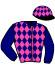 casaque portée par Verva L. jockey du cheval de course GATSBY LILY (FR), information pmu ZETURF