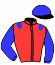 casaque portée par Briand Y. A. jockey du cheval de course IODOSIS, information pmu ZETURF