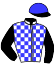 casaque portée par Celis Mlle L. jockey du cheval de course FLASH DU BOSQUET (FR), information pmu ZETURF