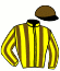 casaque portée par Besnier H. jockey du cheval de course HAPPY DREAM, information pmu ZETURF