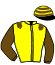 casaque portée par Grosso Mlle L. jockey du cheval de course VALLEY KID (FR), information pmu ZETURF