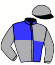 casaque portée par Lefevre D. jockey du cheval de course ITALIE (FR), information pmu ZETURF