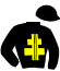casaque portée par Nivard F. jockey du cheval de course HERMINE D'ECAJEUL, information pmu ZETURF