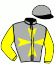 casaque portée par Raffestin J. jockey du cheval de course HAVANE DE COUDDE, information pmu ZETURF