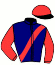 casaque portée par Bazire Mlle M. jockey du cheval de course GRINGO DES CHAMPS, information pmu ZETURF