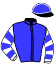 casaque portée par Ernault S. jockey du cheval de course HIRONDELLE D'AVEZE, information pmu ZETURF