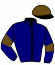 casaque portée par Ternisien Ph. jockey du cheval de course HURRY CASH BEYLEV, information pmu ZETURF