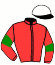 casaque portée par Bizoux O. jockey du cheval de course IDYLLE DE GESVRES, information pmu ZETURF