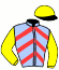 casaque portée par Robin B. jockey du cheval de course JOLI CLIF, information pmu ZETURF