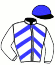 casaque portée par Locqueneux D. jockey du cheval de course ICLO, information pmu ZETURF