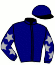 casaque portée par Barcelo Bisquerra Miq. J. jockey du cheval de course HIBISCUS DU BREU, information pmu ZETURF