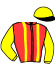 casaque portée par Saussaye V. jockey du cheval de course IDEAL D'ARTONGES, information pmu ZETURF
