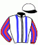 casaque portée par Verva M. jockey du cheval de course HIMEROS DU GOUTIER, information pmu ZETURF