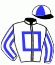 casaque portée par Mangione R. jockey du cheval de course LOVER WITH A G, information pmu ZETURF