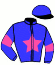 casaque portée par Piton J. Ch. jockey du cheval de course ICEBERG DU KASTEL, information pmu ZETURF