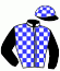 casaque portée par Hoste Sve. jockey du cheval de course ELFE DU CHATAULT, information pmu ZETURF