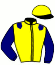 casaque portée par Boismartel F. jockey du cheval de course KAHIA DE LA CROIX, information pmu ZETURF