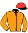 casaque portée par Muidebled A. jockey du cheval de course KINTRA, information pmu ZETURF