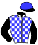 casaque portée par Demoulin Mme B. jockey du cheval de course ESPRIT D'OEILLET, information pmu ZETURF