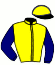 casaque portée par Caillet Dav. jockey du cheval de course FESTIF DU RADON, information pmu ZETURF