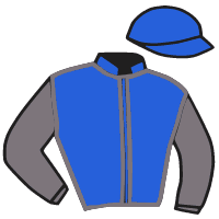 casaque portée par Boisseau L. jockey du cheval de course IKIRU, information pmu ZETURF casaque portée par Boisseau L. jockey du cheval de course IKIRU, information pmu ZETURF