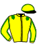 casaque portée par Gelormini G. jockey du cheval de course HECTOR DE MONE, information pmu ZETURF
