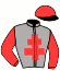 casaque portée par Cueff L. jockey du cheval de course INFINI DU TRY, information pmu ZETURF