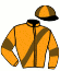 casaque portée par Bridault D. jockey du cheval de course INDIGO DE GODREL, information pmu ZETURF