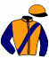 casaque portée par Bizoux Mlle E. jockey du cheval de course HURACAN, information pmu ZETURF casaque portée par Bizoux Mlle E. jockey du cheval de course HURACAN, information pmu ZETURF