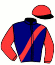 casaque portée par Lefevre Dav. jockey du cheval de course LEGENDE DU DER, information pmu ZETURF casaque portée par Lefevre Dav. jockey du cheval de course LEGENDE DU DER, information pmu ZETURF