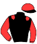 casaque portée par Hemery R. jockey du cheval de course KIMONO DU GUILDO, information pmu ZETURF casaque portée par Hemery R. jockey du cheval de course KIMONO DU GUILDO, information pmu ZETURF