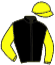 casaque portée par Van Den Burg Mme P. jockey du cheval de course FAWKES, information pmu ZETURF casaque portée par Van Den Burg Mme P. jockey du cheval de course FAWKES, information pmu ZETURF