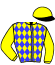 casaque portée par Tison Mlle S. jockey du cheval de course NUIT FAUVE, information pmu ZETURF casaque portée par Tison Mlle S. jockey du cheval de course NUIT FAUVE, information pmu ZETURF