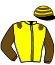 casaque portée par Dieteren Mme Liz. jockey du cheval de course CHACHA BOY, information pmu ZETURF casaque portée par Dieteren Mme Liz. jockey du cheval de course CHACHA BOY, information pmu ZETURF