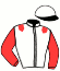 casaque portée par Locqueneux D. jockey du cheval de course KENZIE VREDEBEST, information pmu ZETURF
