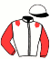casaque portée par Locqueneux D. jockey du cheval de course KENZIE VREDEBEST, information pmu ZETURF casaque portée par Locqueneux D. jockey du cheval de course KENZIE VREDEBEST, information pmu ZETURF