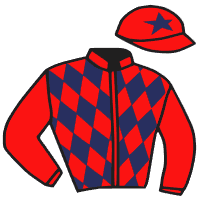 casaque portée par Besnier H. jockey du cheval de course MAX ZORIN, information pmu ZETURF