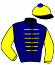casaque portée par Merle E. jockey du cheval de course UNA NOVA, information pmu ZETURF casaque portée par Merle E. jockey du cheval de course UNA NOVA, information pmu ZETURF