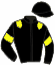 casaque portée par Gelormini G. jockey du cheval de course GAVROCHE MAZA, information pmu ZETURF casaque portée par Gelormini G. jockey du cheval de course GAVROCHE MAZA, information pmu ZETURF