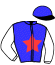 casaque portée par D'haenens N. jockey du cheval de course LALY DE CELLES, information pmu ZETURF casaque portée par D'haenens N. jockey du cheval de course LALY DE CELLES, information pmu ZETURF