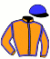 casaque portée par Trullier T. jockey du cheval de course BOW LANE, information pmu ZETURF