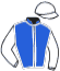 casaque portée par Pelicier Jul. jockey du cheval de course GALIMATIA, information pmu ZETURF